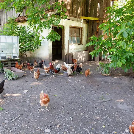 Gastehaus Weber Oberperfuss