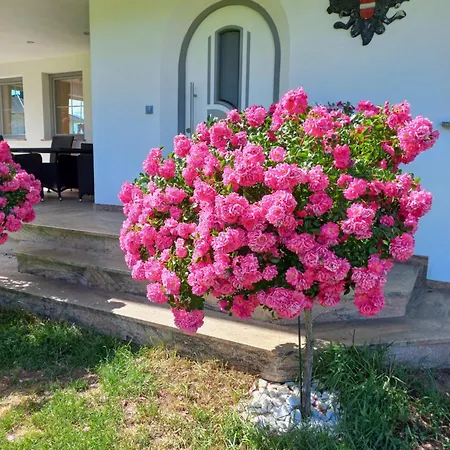 Apartament Gaestehaus Weber Oberperfuss