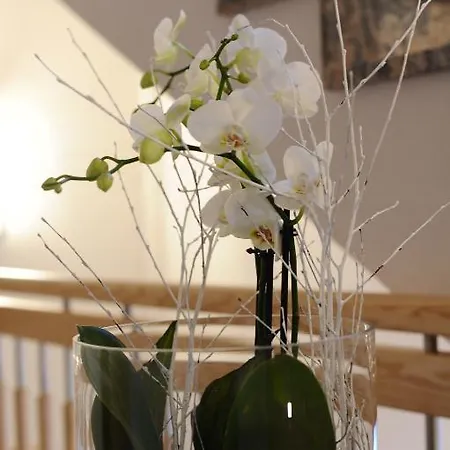 דירה Gaestehaus Weber